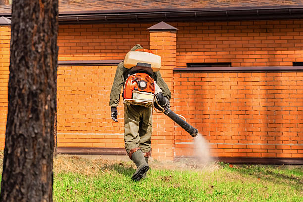 Trusted Ant Control service in Morenci, MI - Nex Pest Control
